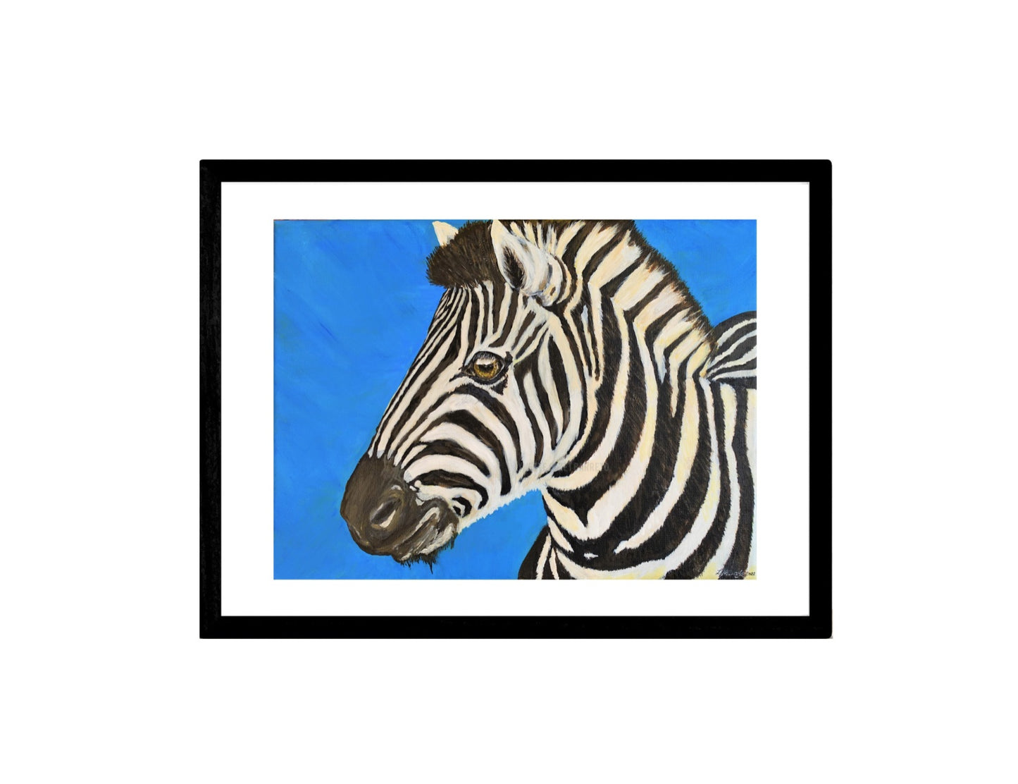 Spirit - Zebra