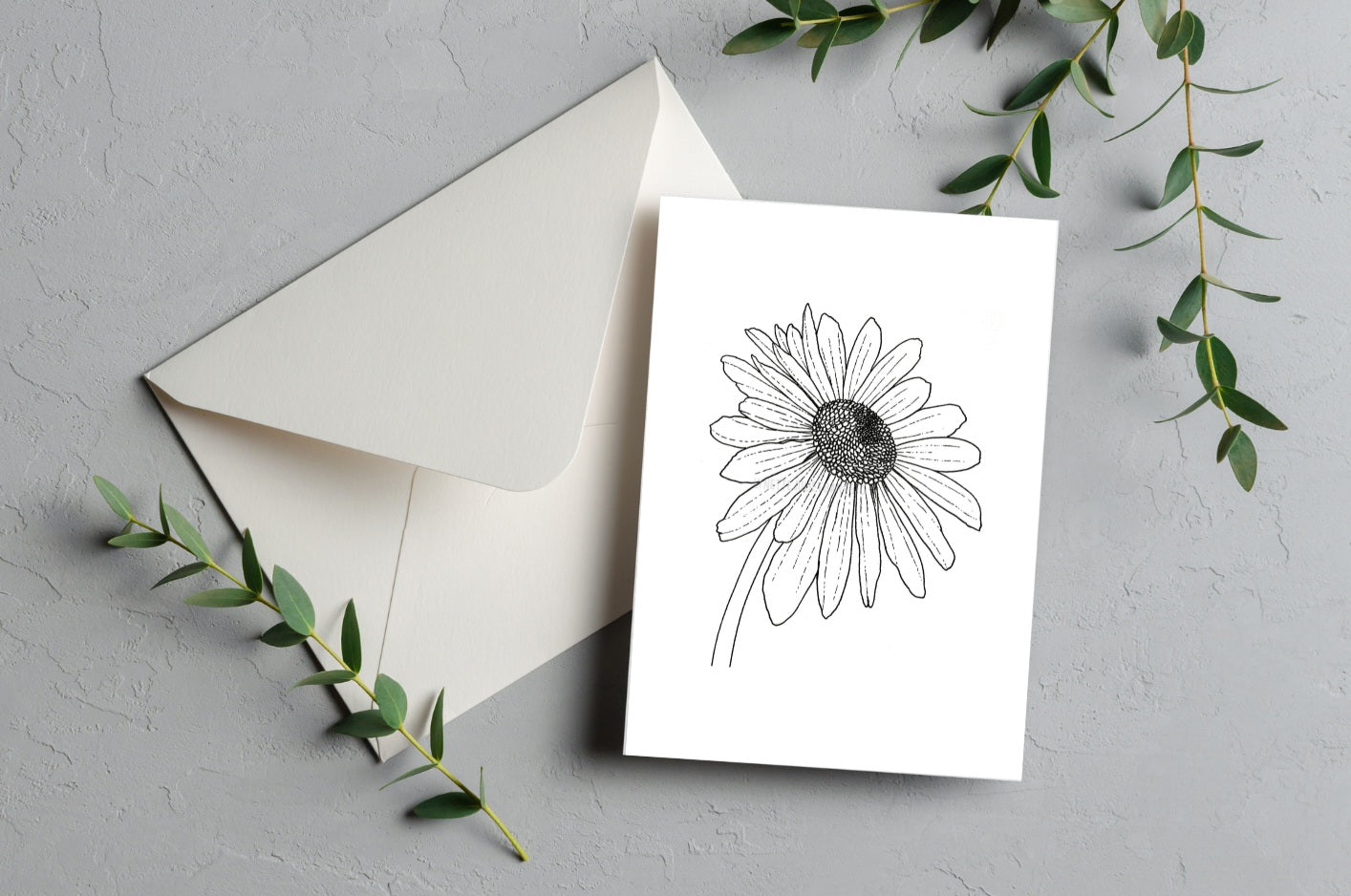 Daisy bloom greeting card