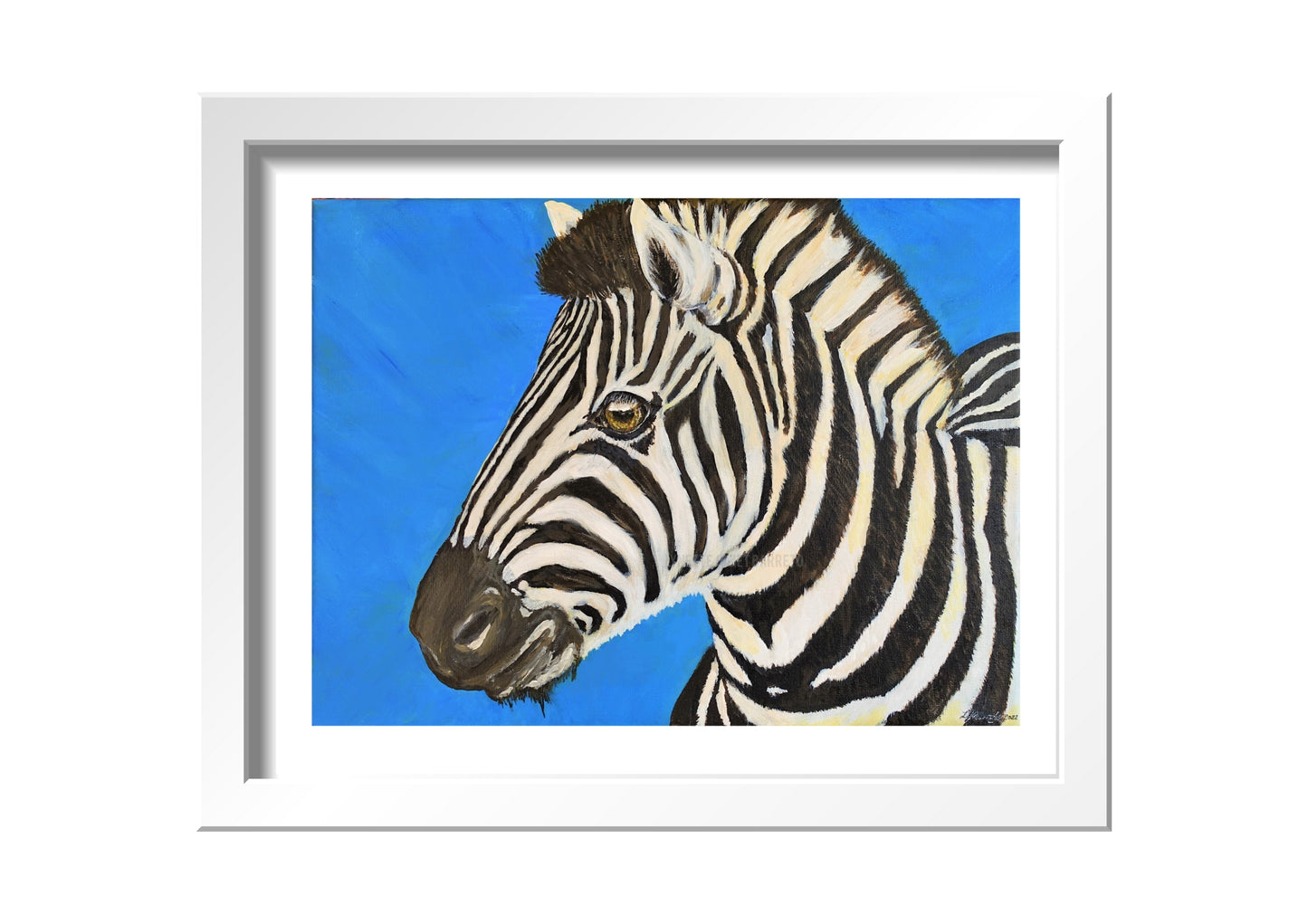 Spirit - Zebra