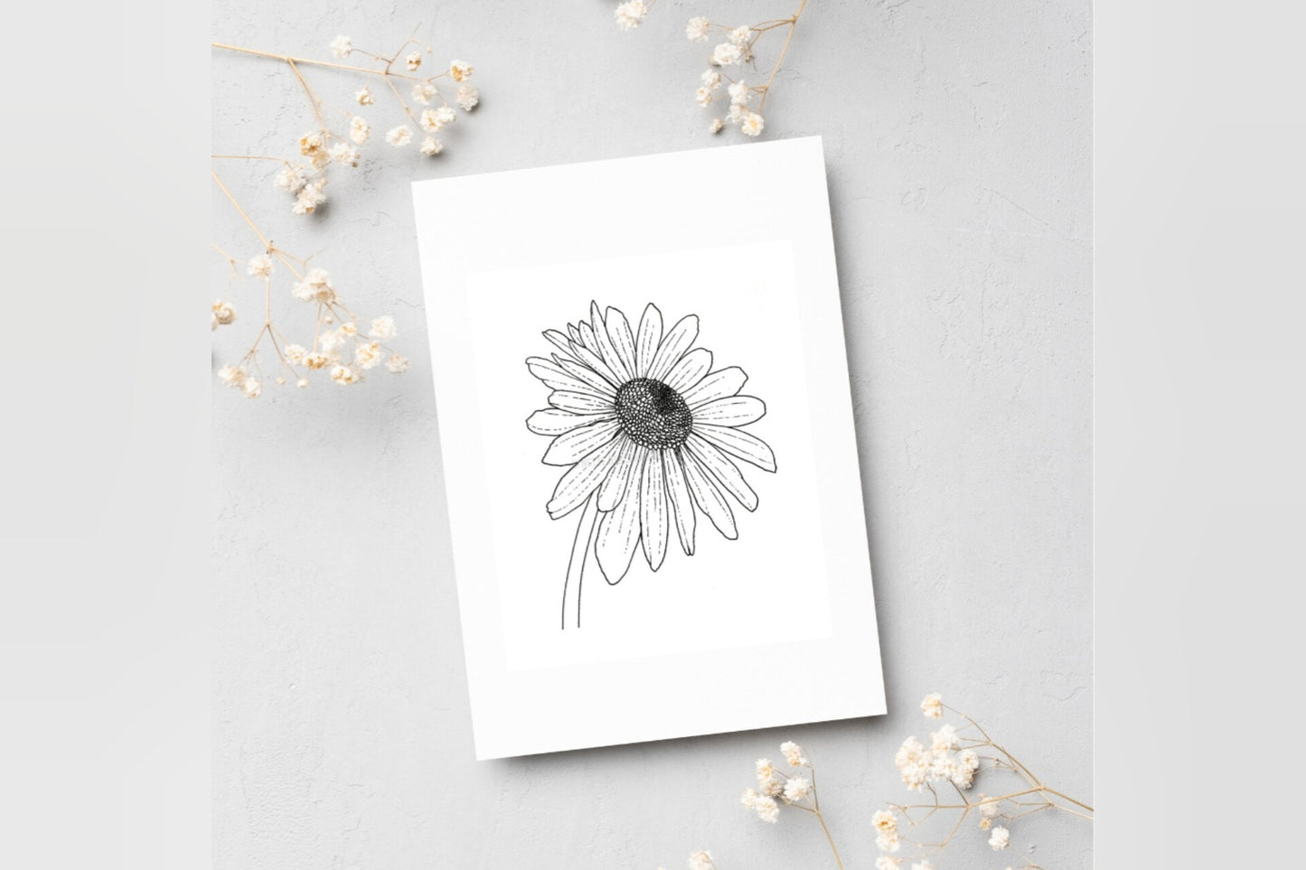 Daisy bloom sticker