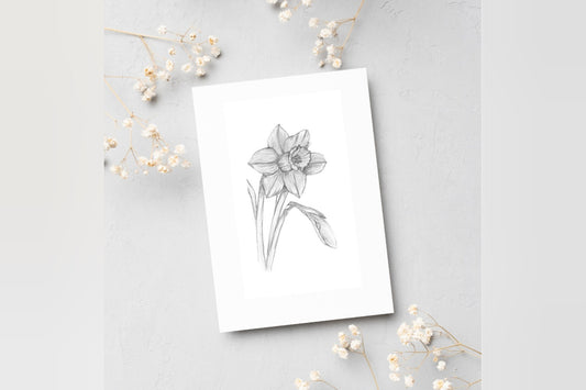 Daffodils postcard